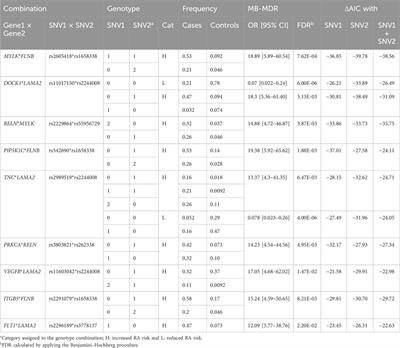 MYLK*FLNB and DOCK1*LAMA2 gene–gene interactions associated with rheumatoid arthritis in the focal adhesion pathway